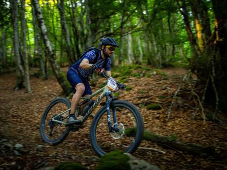 N°64 - le Haut-Forez - Espace VTT-FFC Massif des Bois Noirs