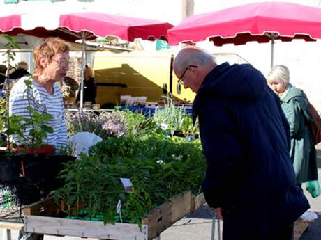 Marché de plein vent de Roquecor