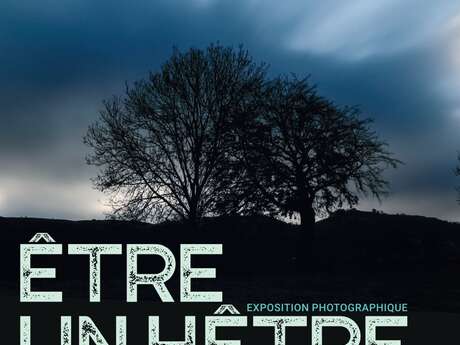 Exposition Photographique  - Être un hêtre