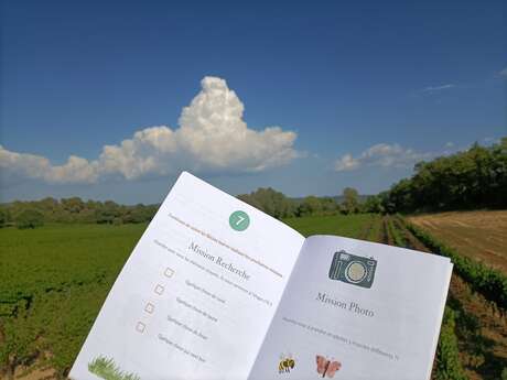 Jeu des Pitchouns au Domaine Le  Novi à La Tour d'Aigues