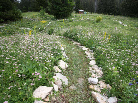 Jardin Alpin du Semnoz