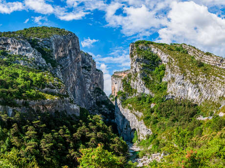 Sentier Découverte du Lézard - FERMETURE