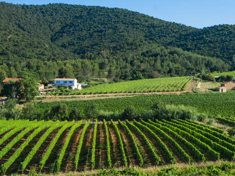 Les trois chênes estate