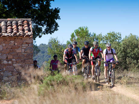 Site VTT FFC - Provence Verdon - Circuit 22 - Bleu