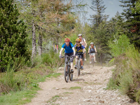 N°64 - Le Haut Forez - Espace VTT-FFC Massif des Bois Noirs