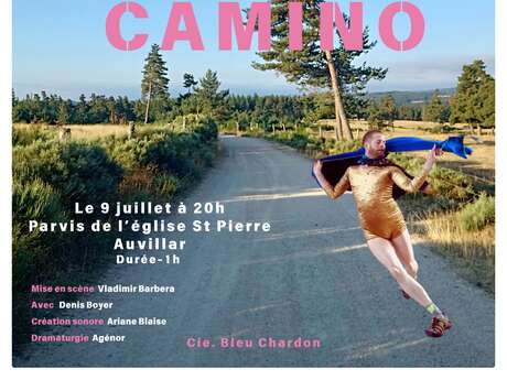 Spectacle "Camino" – Mise en scène de Vladimir Barbera