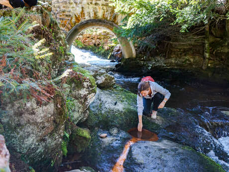La Vallée sauvage de Chorsin