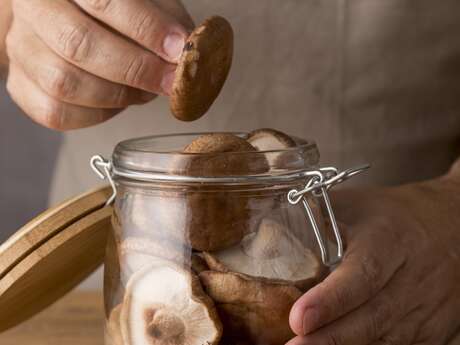 Atelier culture de champignons