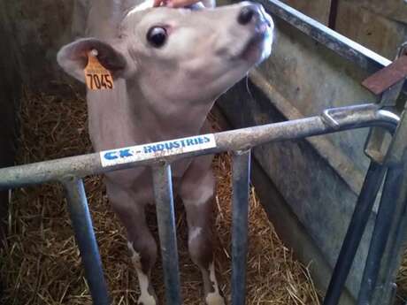 Visite de la ferme de La Place