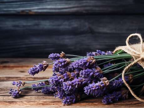 Floral workshop: the timeless hanging bouquet of gold and lavender