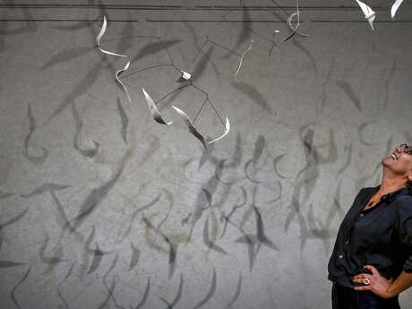 Rencontre/Exposition avec la céramiste Bénédicte Mourgues