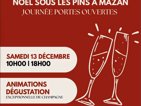 Noël sous les pins : Journée portes ouvertes