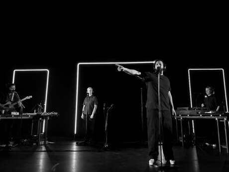 Le petit Frankenstein