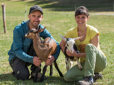 La chèvrerie des Ardoisières