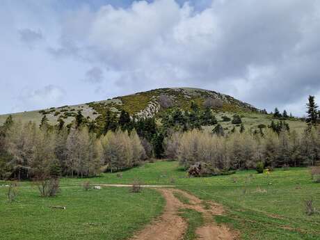 Tour des Baronnies à cheval