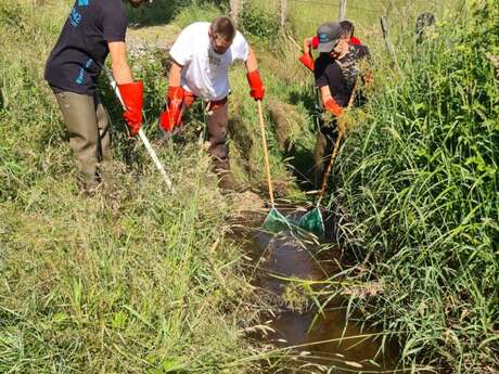 Animation pêche électrique - Programme de Pêche Anzon