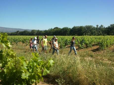 Une drôle histoire du vin au départ de l'Hostellerie des vins de Rognes