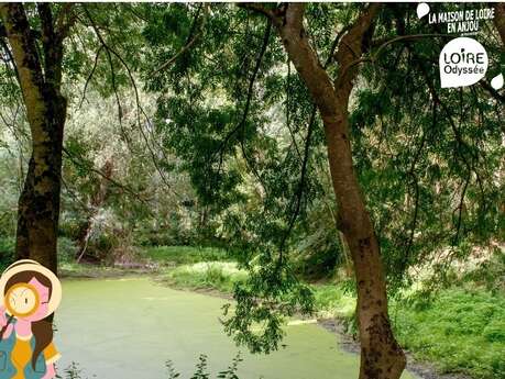 Petit naturaliste de Loire - The Loire, a curious playground of trails
