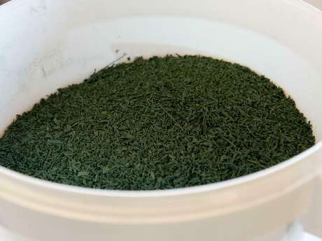 Conférence sur la spiruline