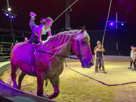 Discovery course of horse voltige