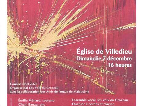 Bach Magnificat Kerstconcert