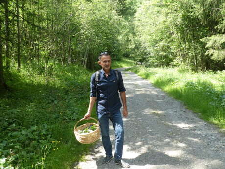 Cours sur les plantes sauvages