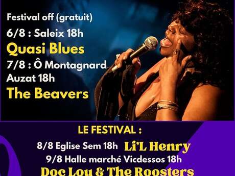 Blues in Sem Festival