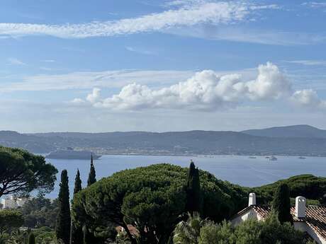 REF : 1093 Agence Provensal