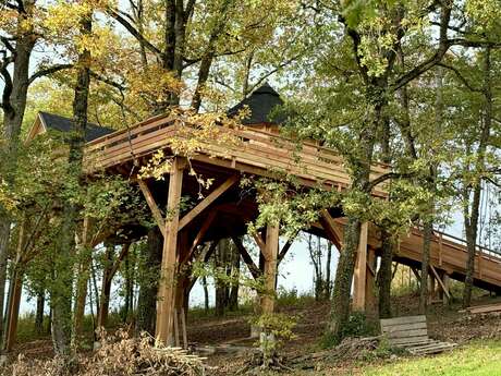 La cabane du grand chêne