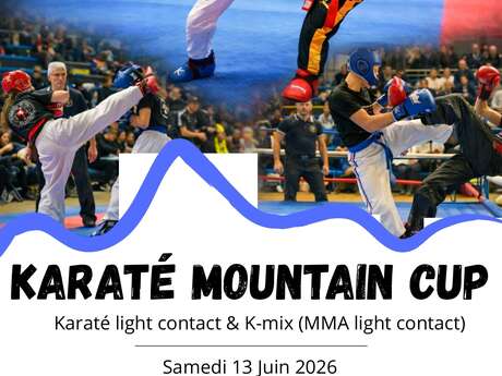 Karate mountain cup