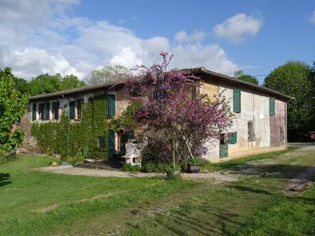 Gîte Cosy de la Pénardière