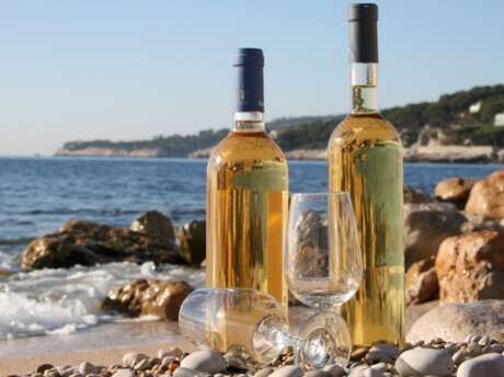 Excursion : Bandol and Cassis wine tour - TY15