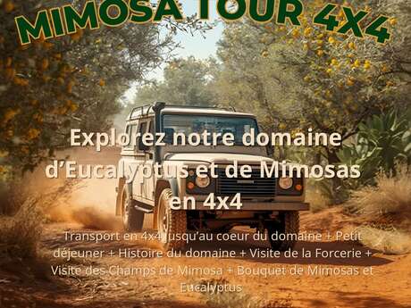 Mimosa Tour 4X4 à Tanneron