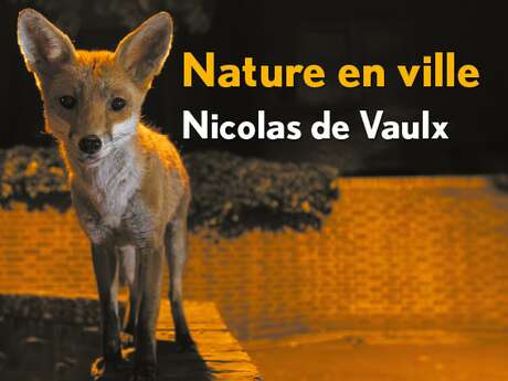 Nature en ville