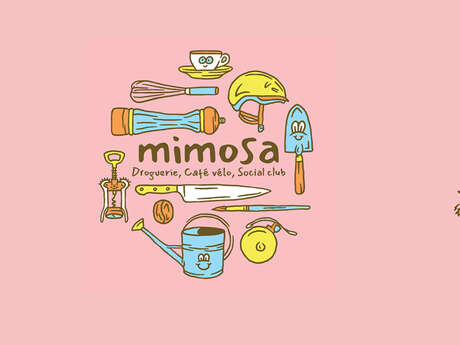 Mimosa  - droguerie d'aujourd'hui