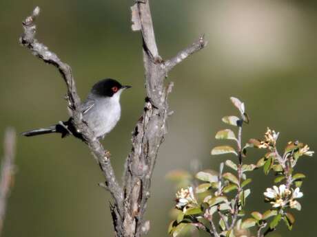 Exposition à la Maison du Parc "Agriculture et biodiversité"  Ligue de protection des oiseaux
