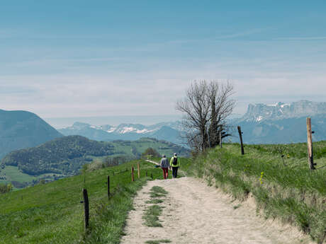 Circuit pédestre des Crêtes - 3h - Départ Office de Tourisme