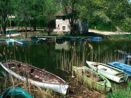 Pêche au lac de Barterand