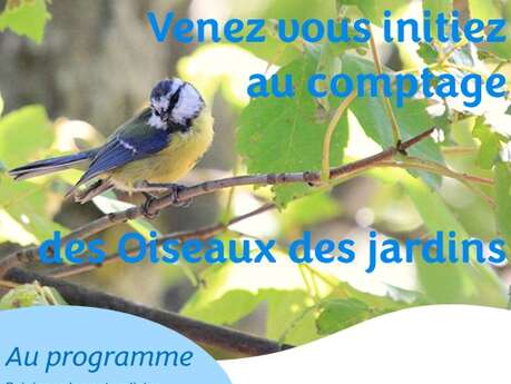 Initiation au comptage des oiseaux des jardins