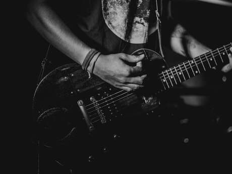 Debout sur le Zinc – Mémoire Électrique en concert