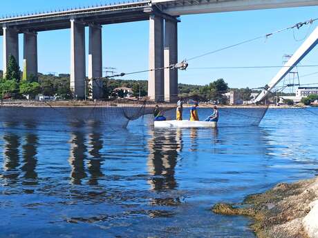 Jordan Ortiz, producteur de poutargue