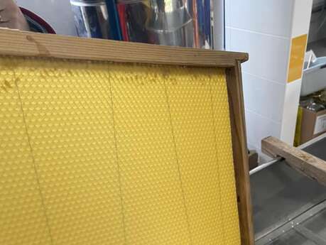 Le miel et les abeilles, un monde fascinant
