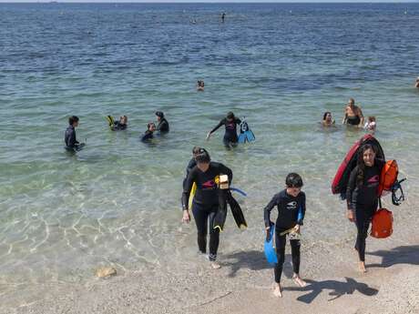 Spaziergang mit Schwimmflossen zu den Überresten von Olbia am Almanarre (Hyères)