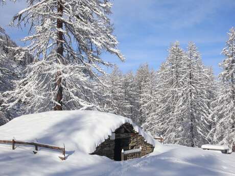 Itinéraire raquettes Chez Rolande