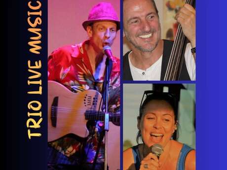 MOON Reprise de chansons françaises et internationales