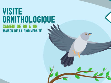 Visite ornithologique - Maison de la Biodiversité