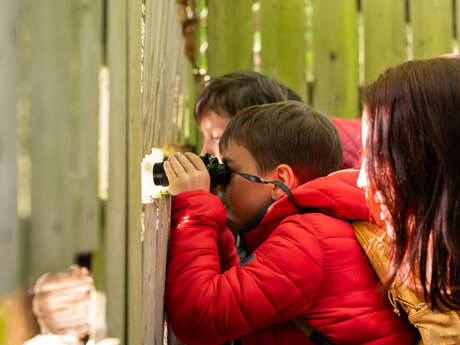 Île du Beurre nature observation centre