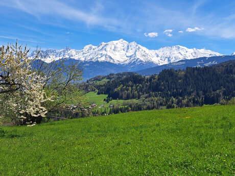 Balade aux portes des alpages - sentier pédestre