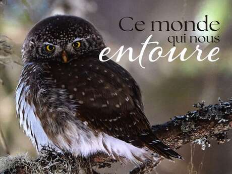 Exposition de photographies "Ce monde qui nous entoure" David CARPANO