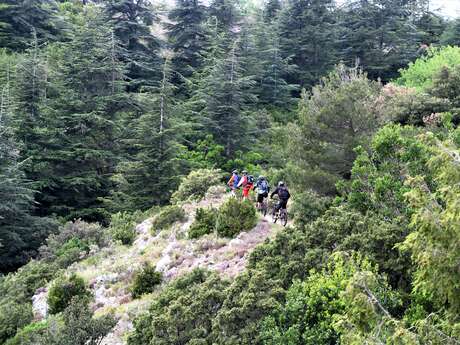 VTT n°1 - Grand Tour du Petit Luberon - GPS